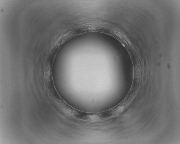 X0000074330509200609152100