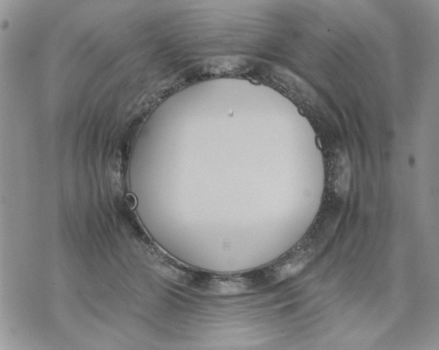 X0000074330510200609152100