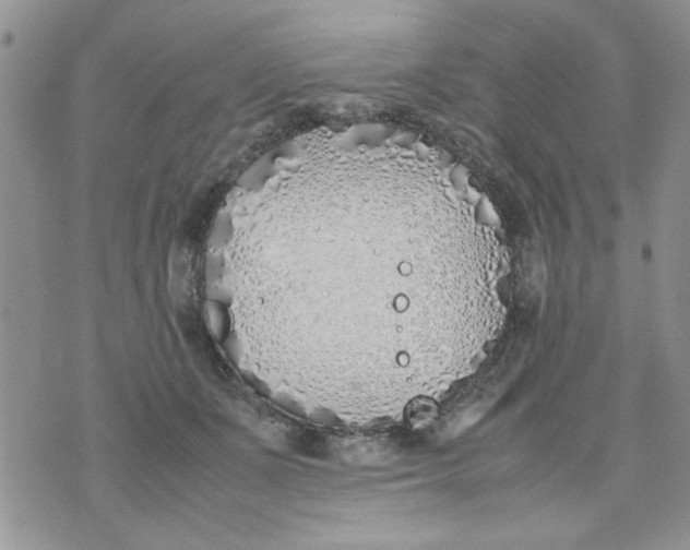 X0000074330511200609152100