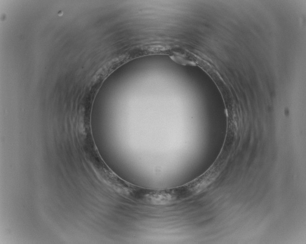 X0000074330512200609152100