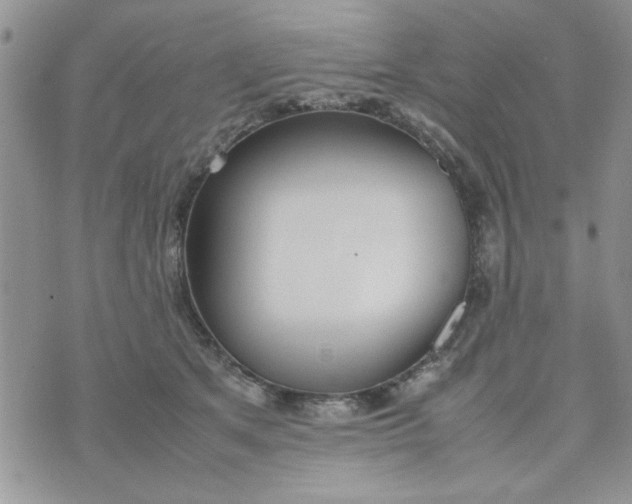 X0000074330513200609152100