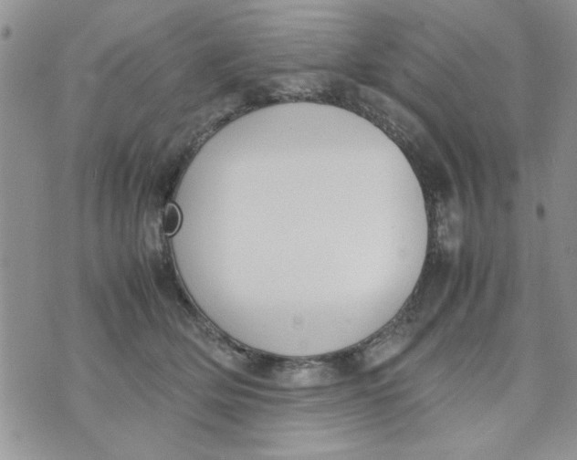 X0000074330514200609152100