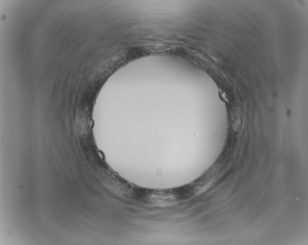 X0000074330515200609152100