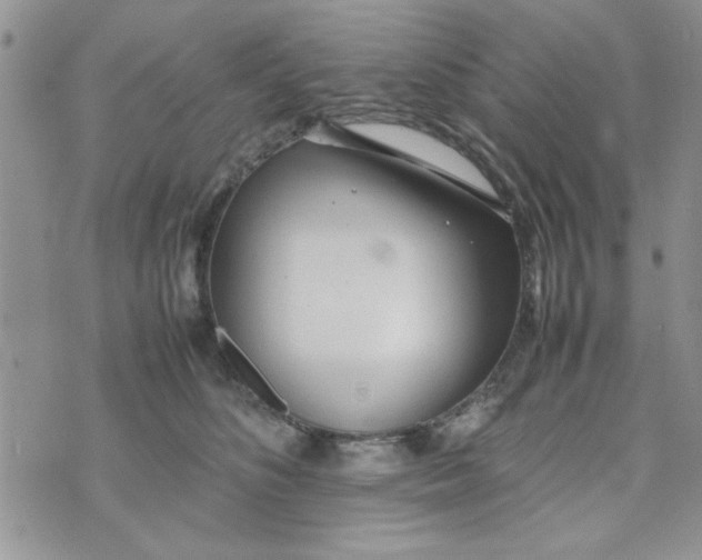 X0000074330516200609152100