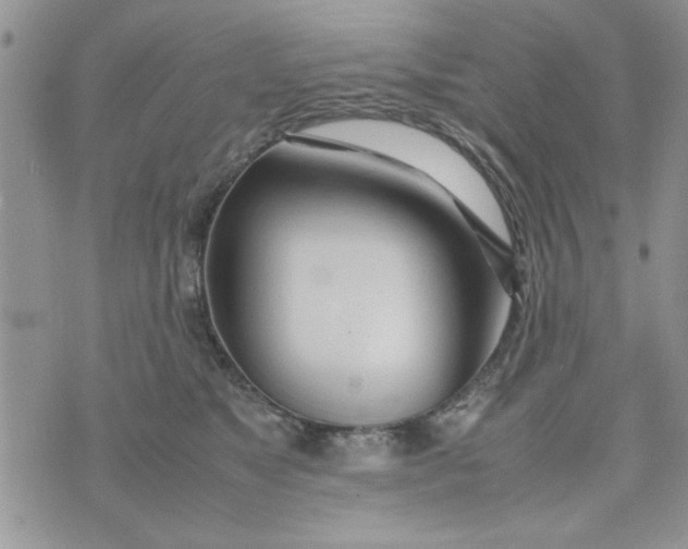 X0000074330517200609152100