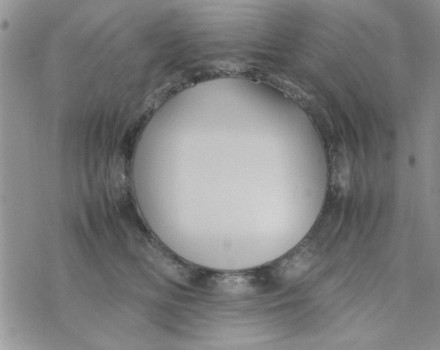 X0000074330518200609152100