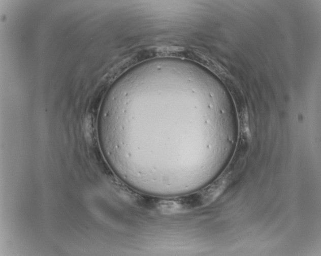 X0000074330519200609152100