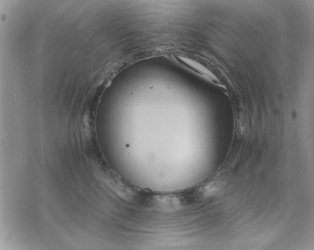 X0000074330520200609152100