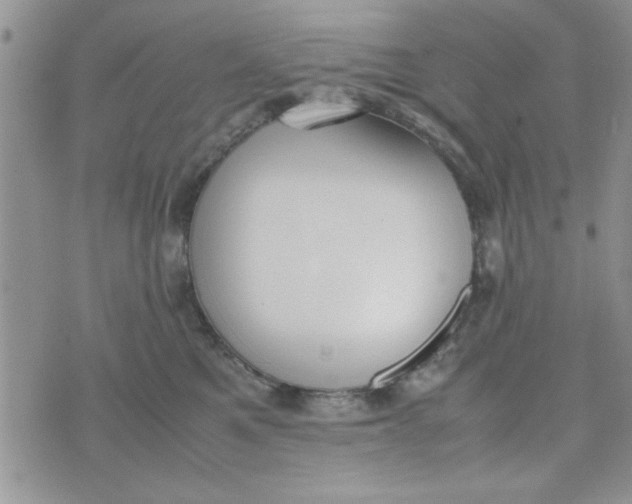 X0000074330521200609152100