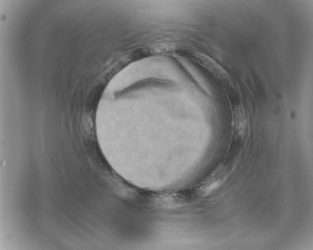 X0000074330523200609152100