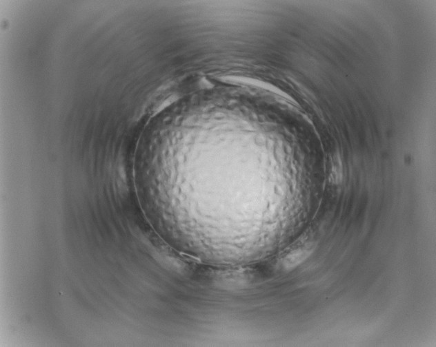 X0000074330524200609152100