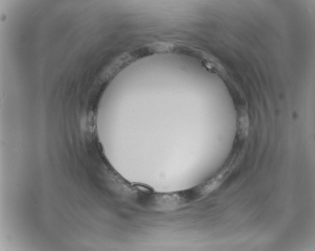 X0000074330525200609152100