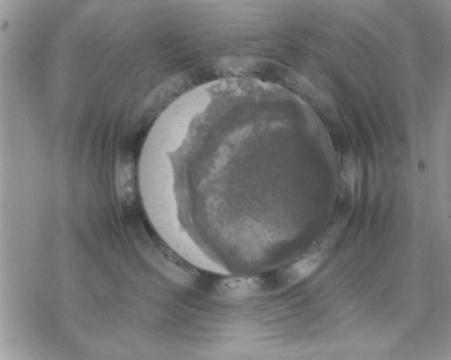 X0000074330526200609152100