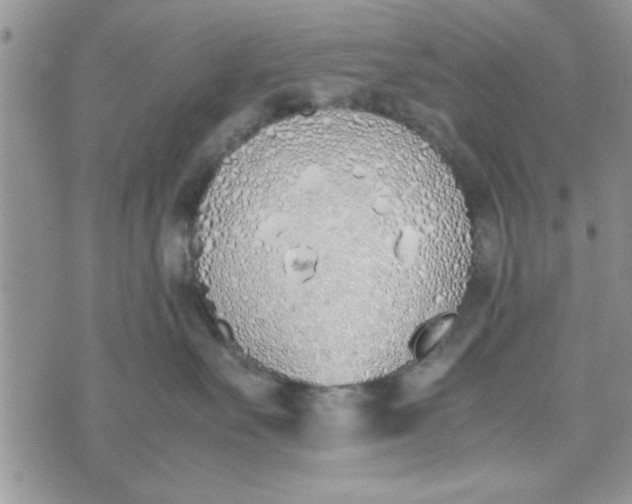 X0000074330527200609152100