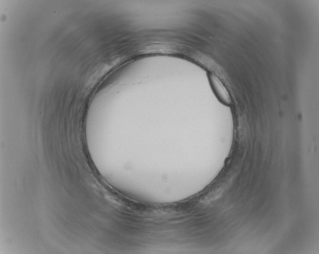 X0000074330529200609152059