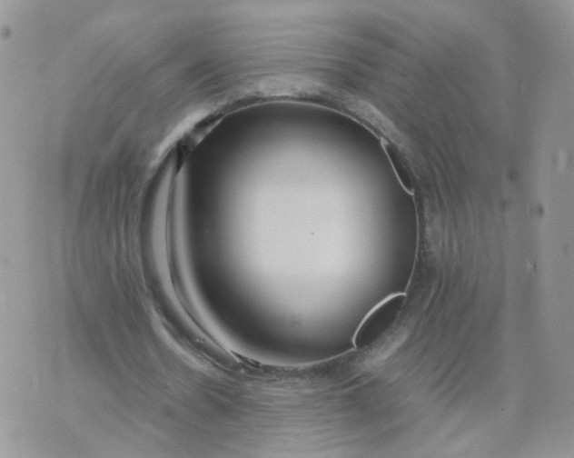 X0000074330530200609152059