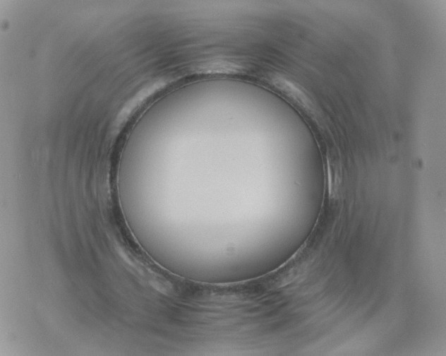 X0000074330531200609152059