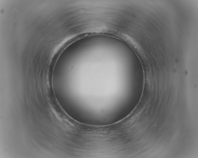 X0000074330532200609152059