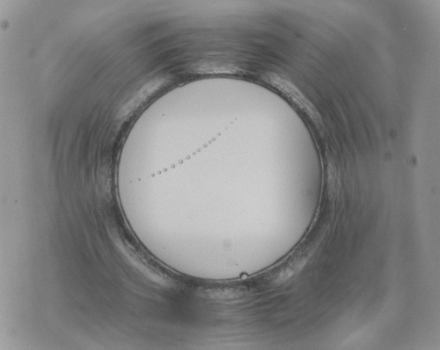 X0000074330533200609152059