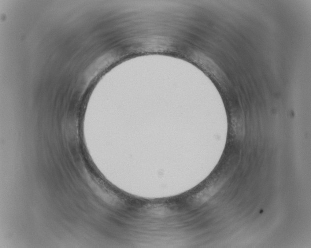 X0000074330534200609152059