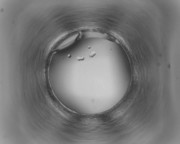 X0000074330535200609152059