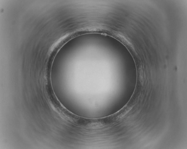 X0000074330536200609152059