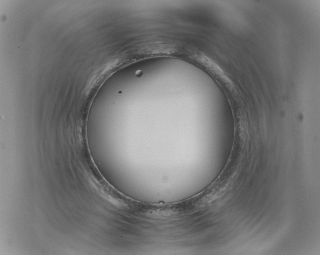 X0000074330537200609152059