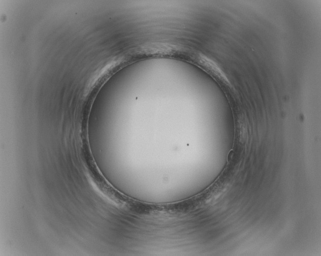 X0000074330538200609152059