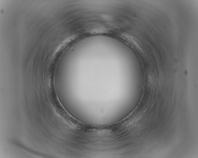 X0000074330539200609152059