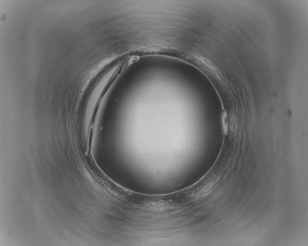 X0000074330540200609152059