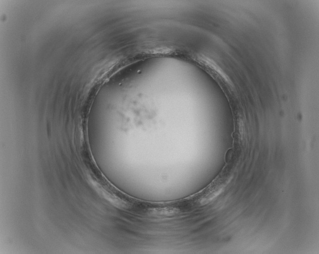 X0000074330541200609152059