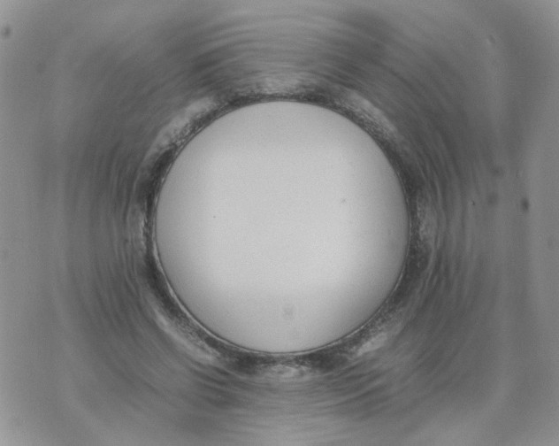 X0000074330542200609152059