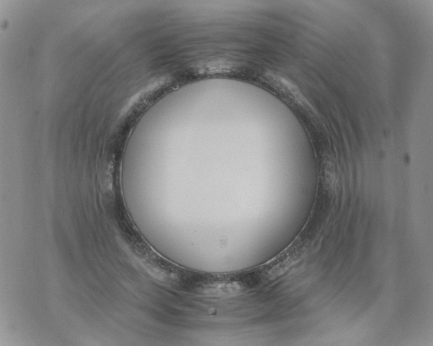 X0000074330543200609152059