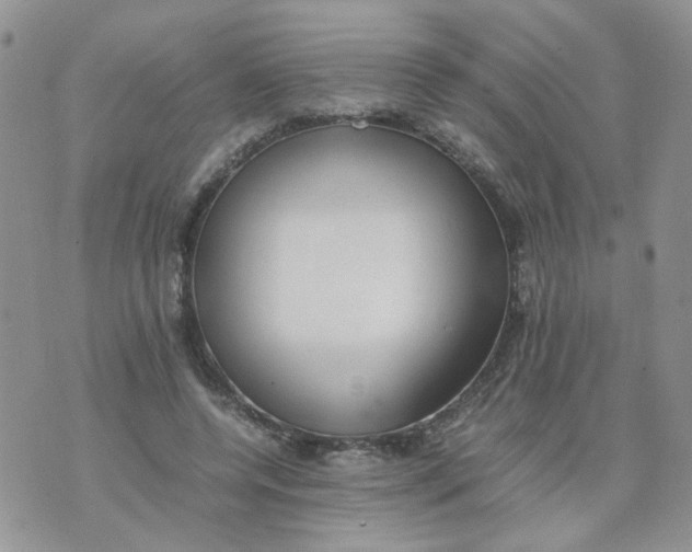 X0000074330544200609152059