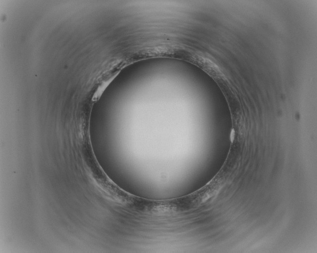 X0000074330546200609152059