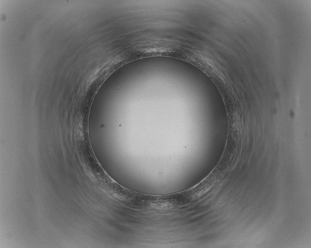 X0000074330547200609152059