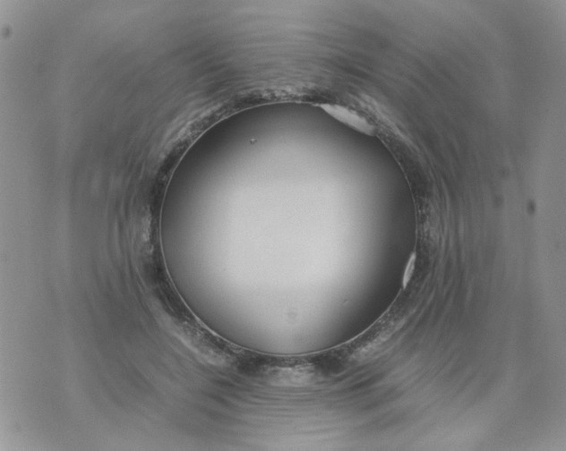 X0000074330548200609152059