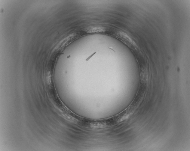 X0000074330549200609152059