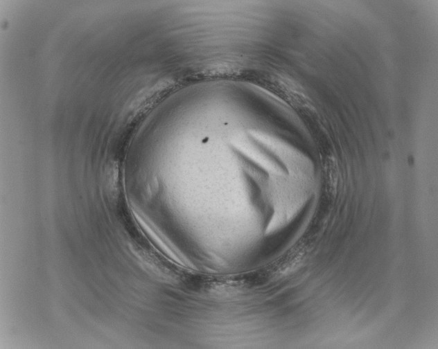 X0000074330550200609152059