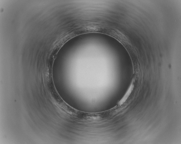 X0000074330552200609152059