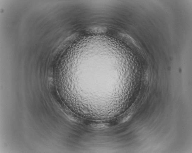 X0000074330553200609152059