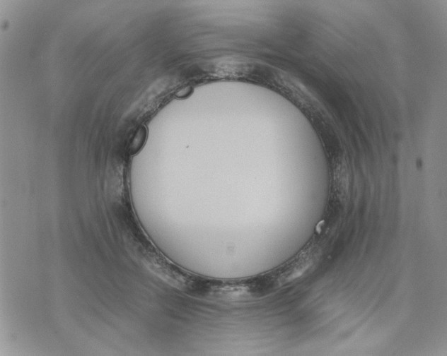 X0000074330554200609152059