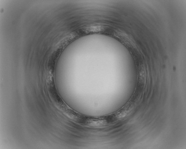 X0000074330555200609152059