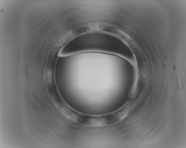 X0000074330556200609152059