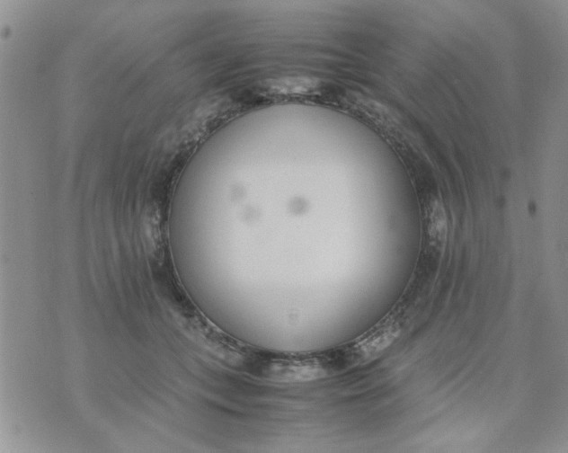 X0000074330559200609152059