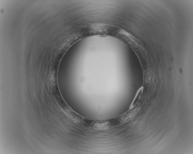 X0000074330560200609152100