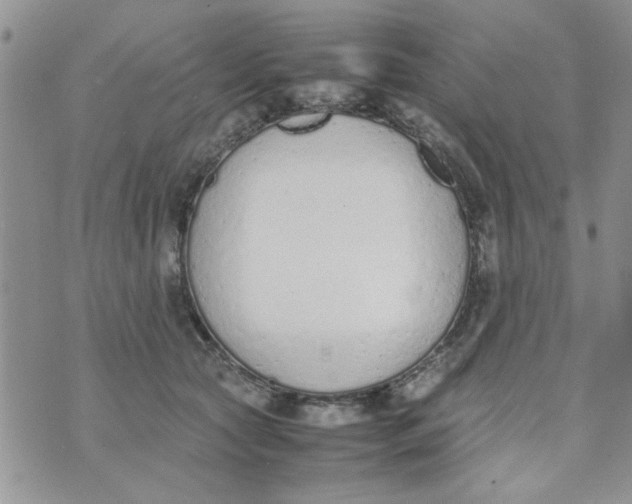 X0000074330561200609152100