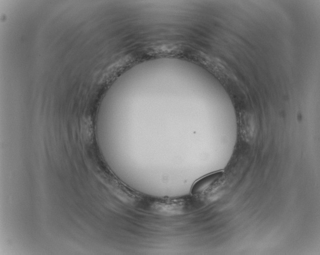 X0000074330563200609152100