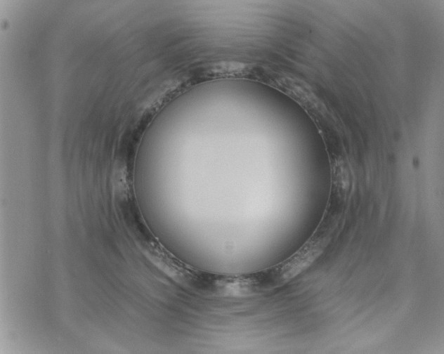 X0000074330564200609152100