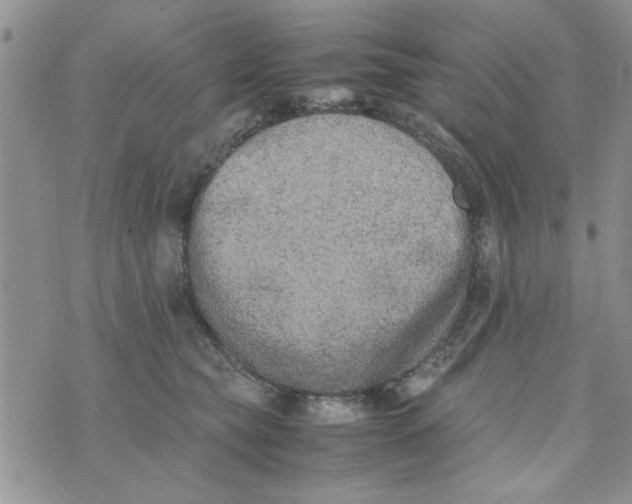 X0000074330565200609152100